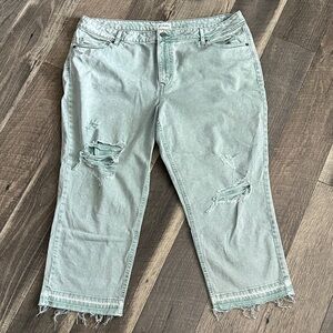 Maurices Light Mint Distressed Cropped Jeans